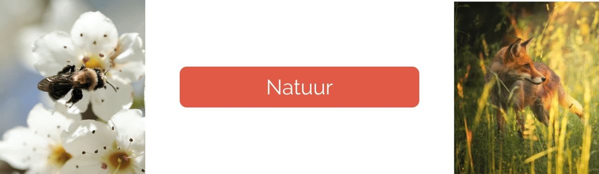 Natuur